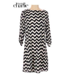 Charming Charlie~ Chevron Shift Dress 3/4 Sleeves